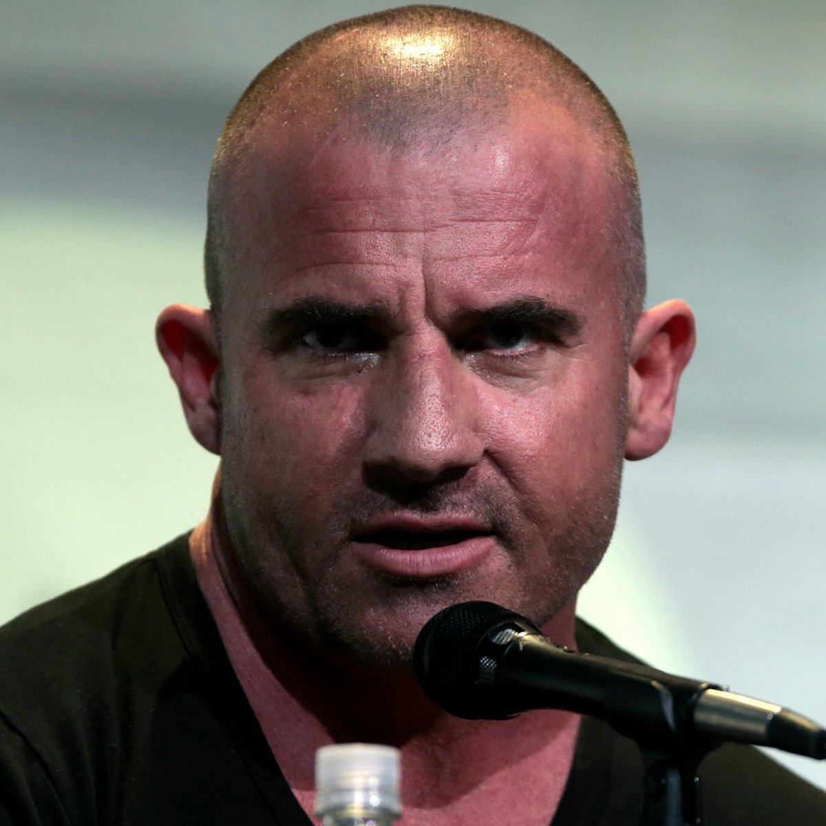 Dominic Purcells Upcoming Projects Feature Snatchback Reunion and Outlook